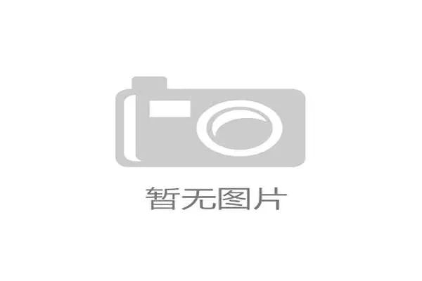 世界杯E组意外晋级球队预测